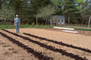 Fresh compost at Seal Cove Farm garden patch
